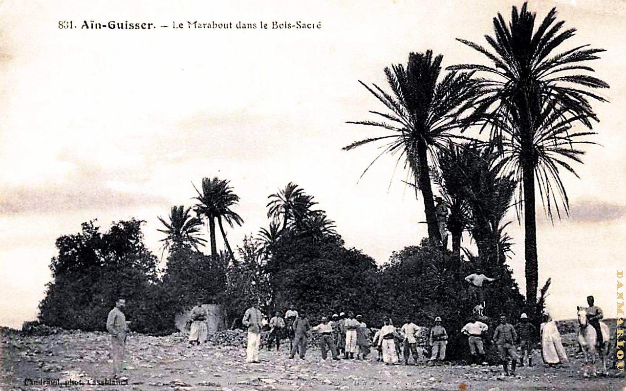 Ain-Guisser - Marabout dans le Bois Sacre.jpg